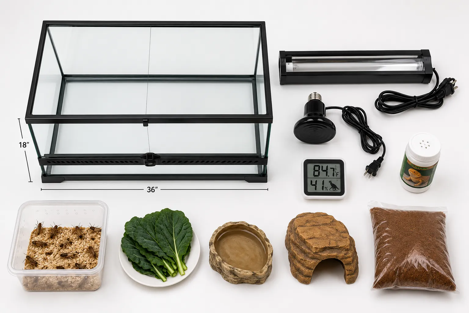How Much Does a Bearded Dragon Setup Cost for Beginners?